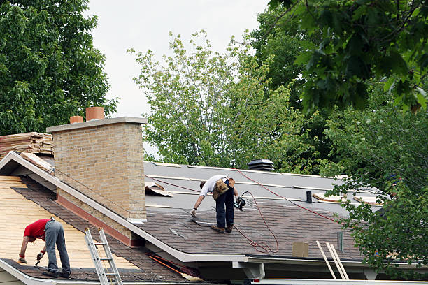 Roof Gutter Cleaning in Moulton, AL